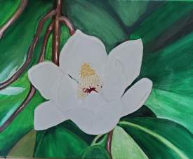 White Magnolia