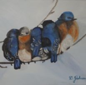 Blustry Bluebirds