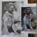 Setter in Graphite