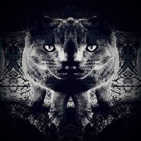 IamTheDarkness