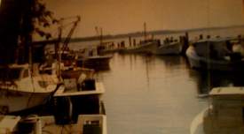 Poquoson Fishing Fleet