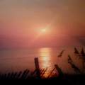 OBX Beach Sunrise