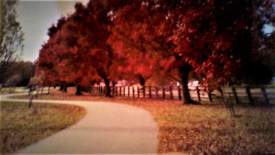 Fall at Riverview Farm Park