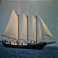 Schooner Alliance 