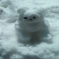 snow bear