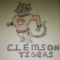 clemson fan