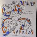Denver Broncos 