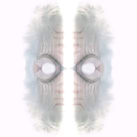 Divide 