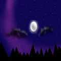 Night Sky Scene