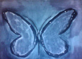 butterfly