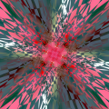 Rotation '26