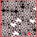 12-21-'21 Tessellation (Sequence of Interest)