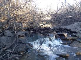 Chisolm Creek Picture '23