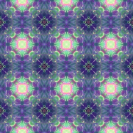 Symmetry and Color Pattern '24