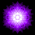 Purple Radiance Pattern '24