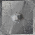 Winter Trees Twist '24