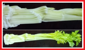 Weird Hearted Celery '23