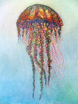 Jellyfish rising