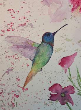 Humming Bird