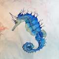 Sea horse