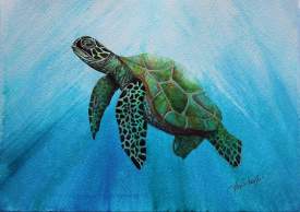 Sea Turtle Watercolor