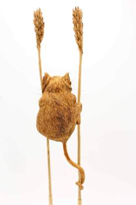 Mouse on Wheat Shafts