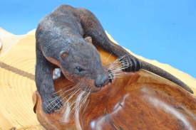 Otter Bowl