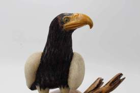 White Shouldered Eagle