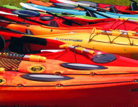 Colorful Kayaks