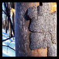 Nature 5