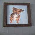 My  belated pet Max 