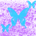 I LOVE BUTTERFLIES 