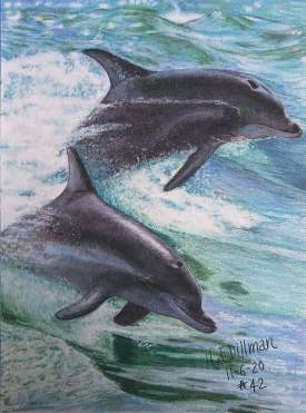 Dolphins