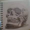 Skull Study