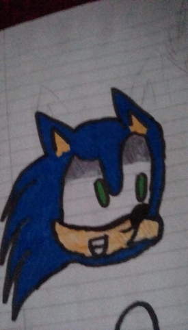 Sonic the hegehog