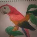 A Pretty Colourful Parrot 