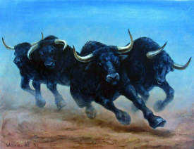 Stampeding Bulls