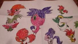 Anim