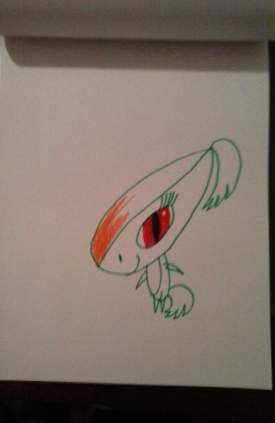 Anim