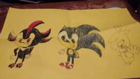 Anim