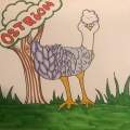 Ollie Ostrich 