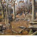 Mountain Whitetails