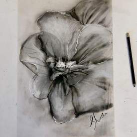 Flower, still life