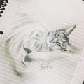 Kitten, notebook drawing