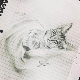 Kitten, notebook drawing