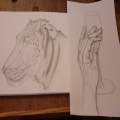 drawings sketchbook 